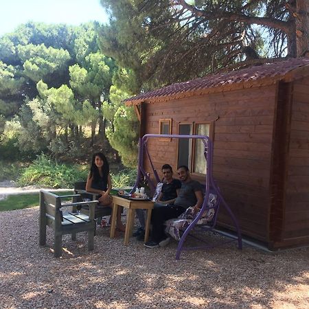 Morkoyun Bungalov Kamp Mordogan エクステリア 写真