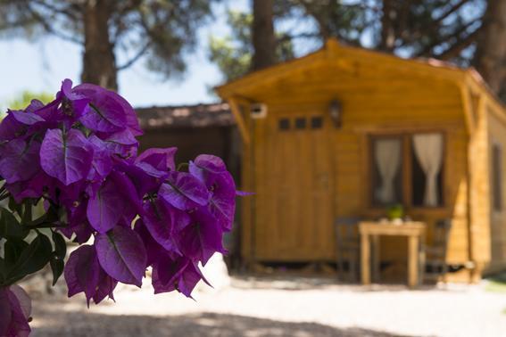 Morkoyun Bungalov Kamp Mordogan エクステリア 写真