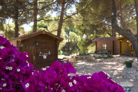 Morkoyun Bungalov Kamp Mordogan エクステリア 写真