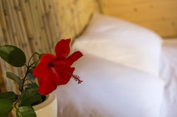 Morkoyun Bungalov Kamp Mordogan 部屋 写真